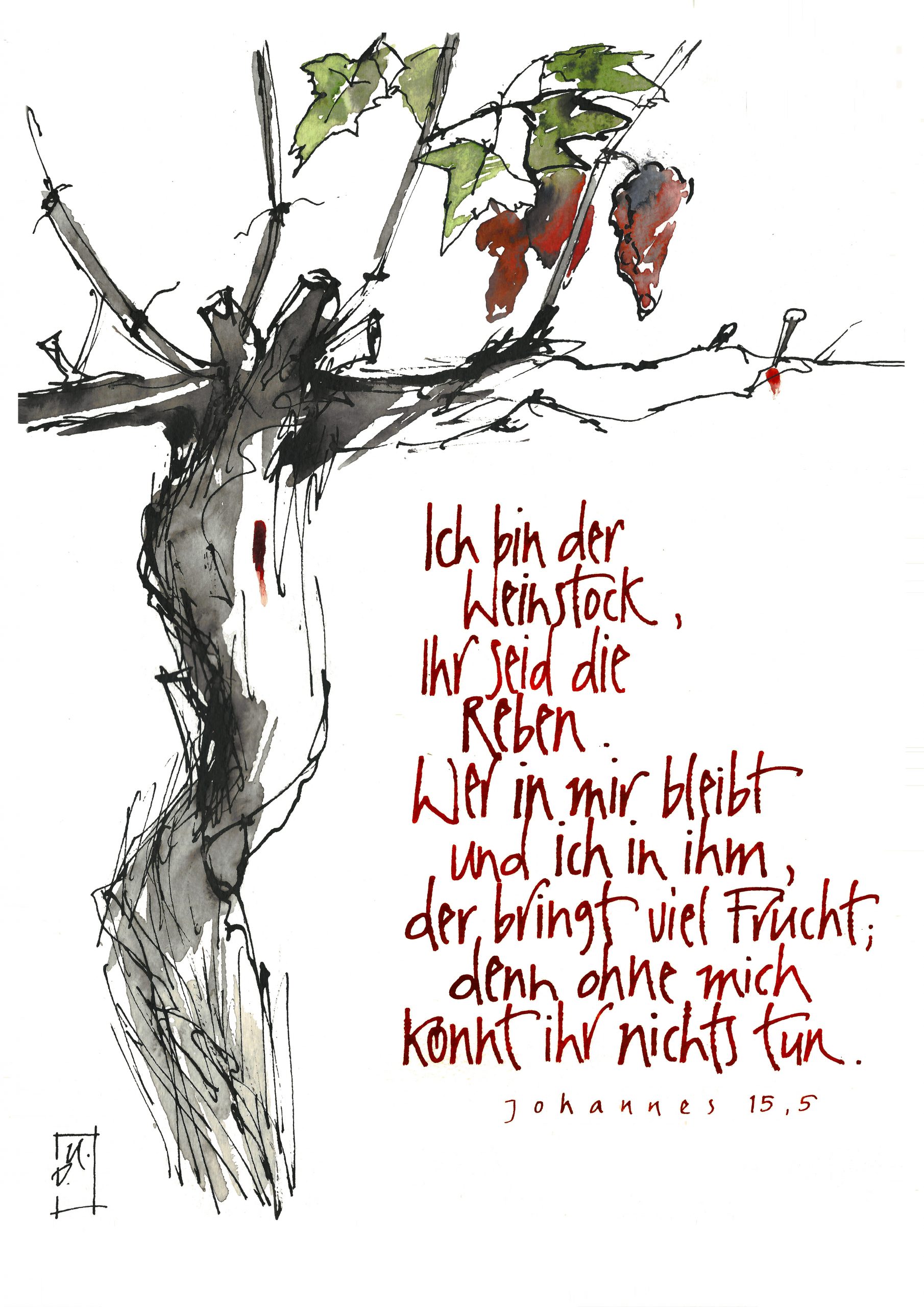 3.15 Ich bin der Weinstock Jesus A4